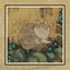 54 Cats icon