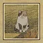 60 Cats icon