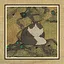 112 Cats icon
