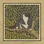 36 Cats icon