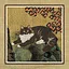 198 Cats icon
