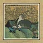 48 Cats icon
