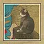 102 Cats icon
