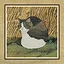 86 Cats icon