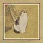 58 Cats icon