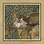 134 Cats icon
