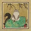 172 Cats icon
