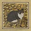42 Cats icon
