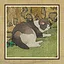 26 Cats icon