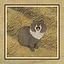 126 Cats icon