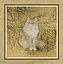 All Cats icon