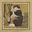 44 Cats icon