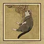 40 Cats icon