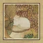 166 Cats icon
