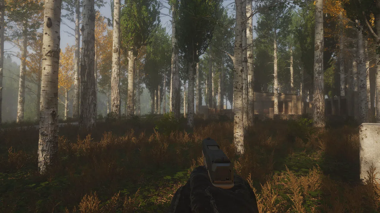 Night Kin Screenshot 2