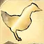 Chicken icon