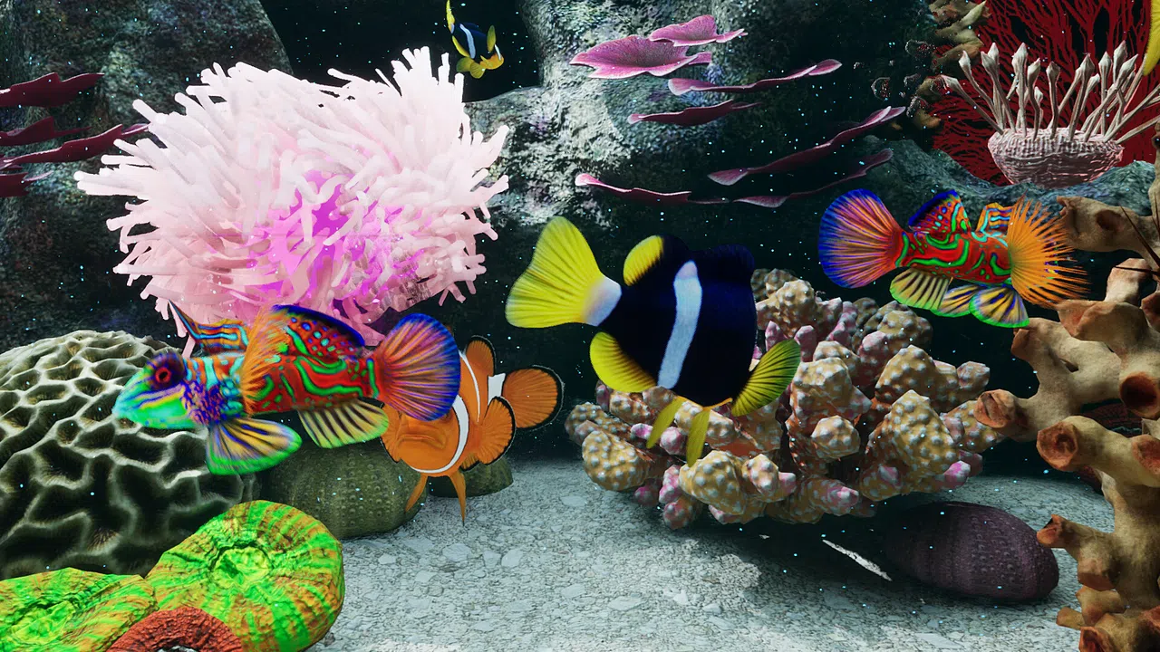 Sea Aquarium Screensaver Screenshot 4