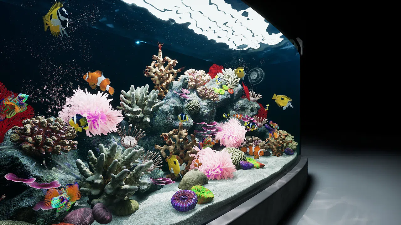 Sea Aquarium Screensaver Screenshot 3