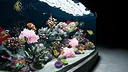 Sea Aquarium Screensaver Screenshot 3