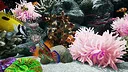 Sea Aquarium Screensaver Screenshot 7