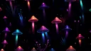 AI-VJ - Magic Forest 3 Visuals Screenshot 3