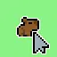 Capybara 41 icon