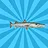 Barracuda