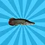Arapaima icon