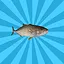 Amberjack icon