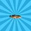 Carp icon