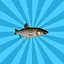 Amur icon