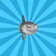 Sunfish icon