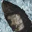 自食惡果 icon
