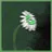 A Daisy Grew From My Grave