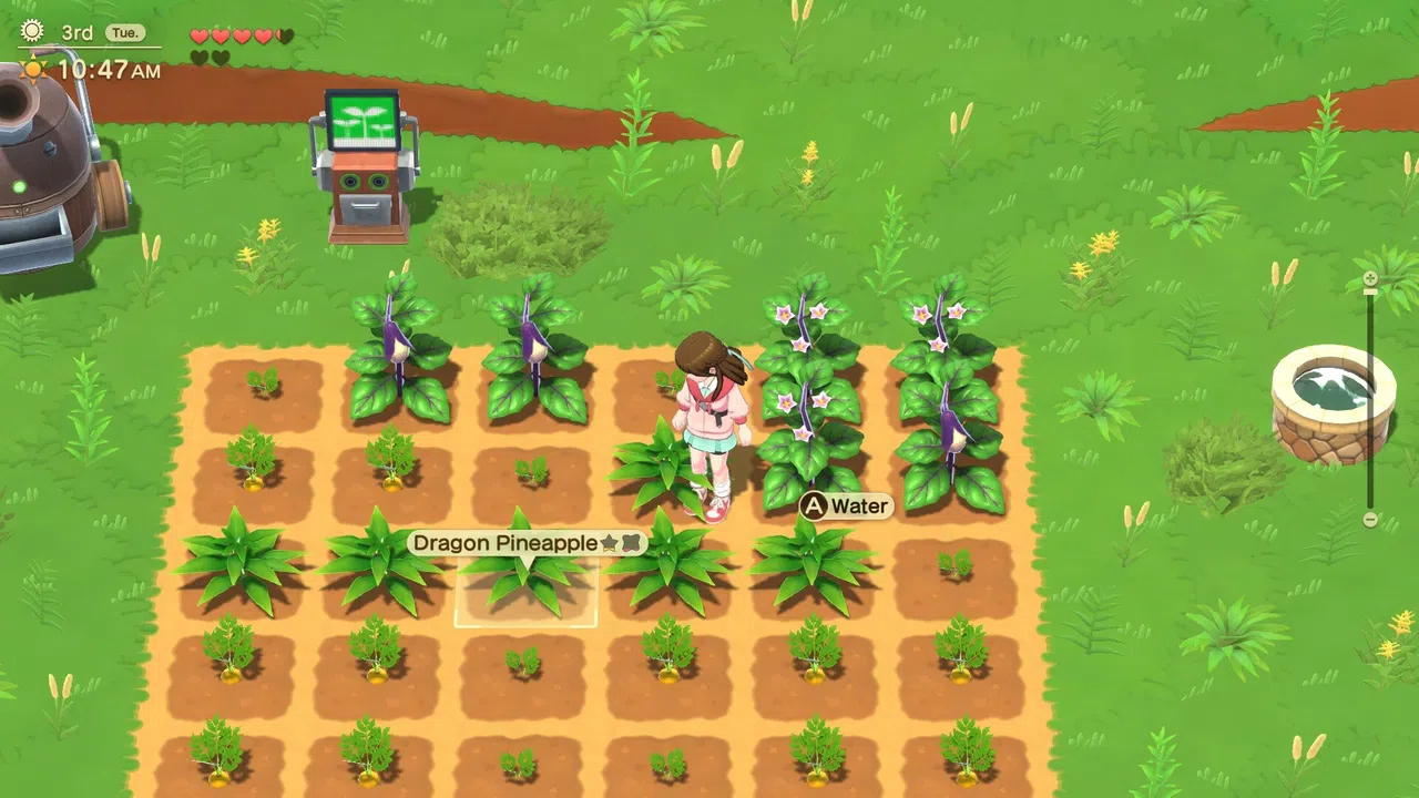 Harvest Moon®: Home Sweet Home Special Edition Screenshot 0