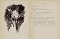 The Axis Unseen - Digital Journal Screenshot 5