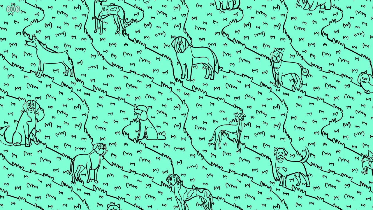 Animal Pattern Demo Screenshot 0