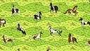 Animal Pattern Demo Screenshot 3