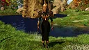 Heroic Kingdom: Origins - Supporter Pack Screenshot 0