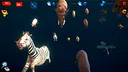 How Much Items - Animals Screenshot 2