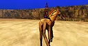 SHA BEAST DRESSAGE Screenshot 3