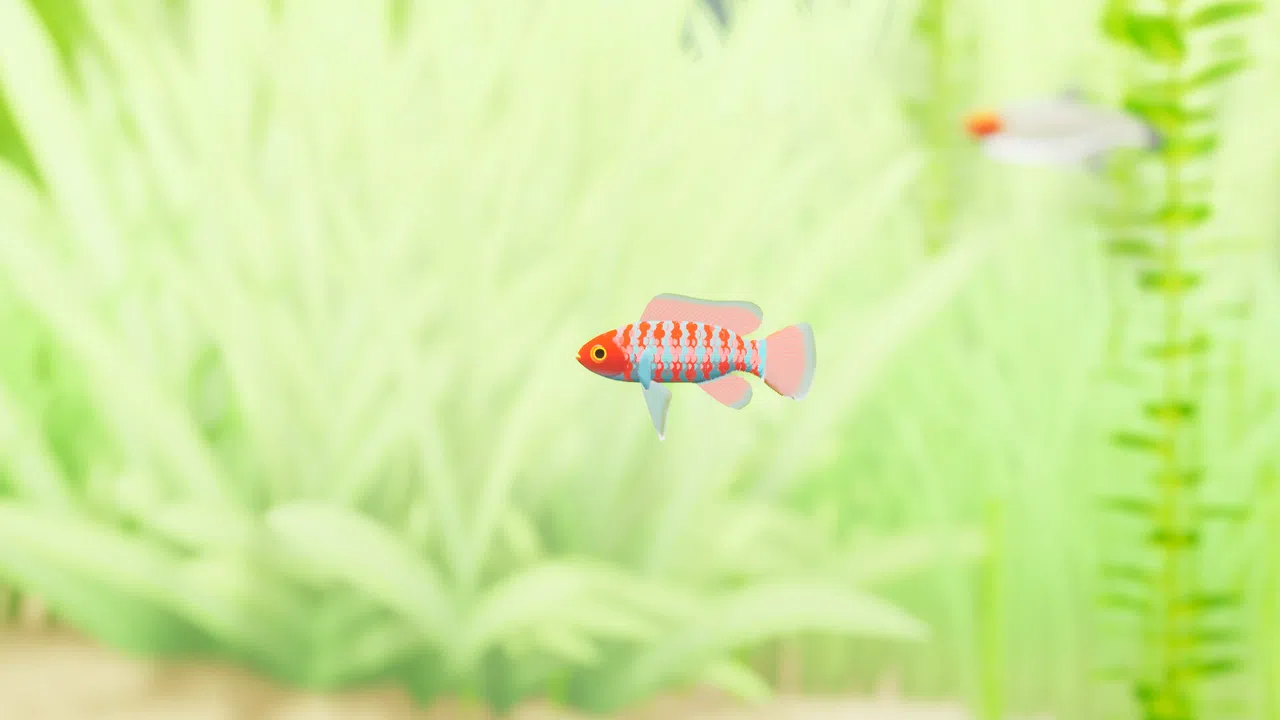 Fish Game - Indian Subcontinent Fish Pack 1 Screenshot 1