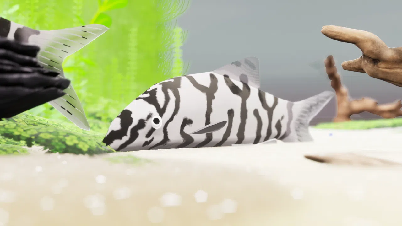 Fish Game - Indian Subcontinent Fish Pack 1 Screenshot 4
