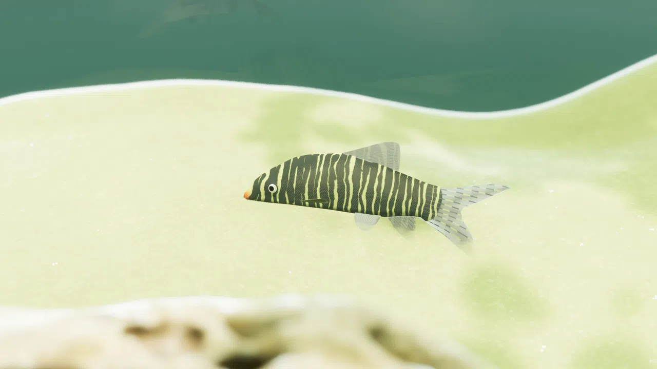 Fish Game - Indian Subcontinent Fish Pack 1 Screenshot 3