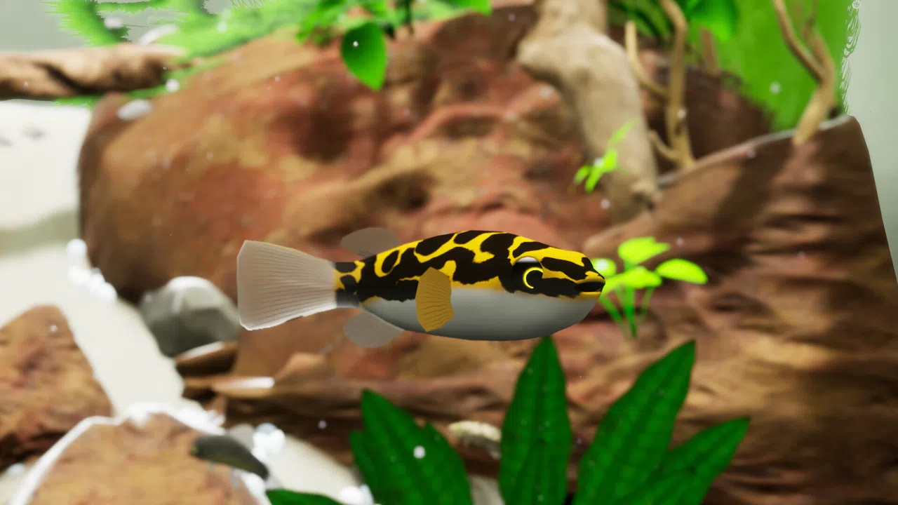 Fish Game - Indonesia Fish Pack 1 Screenshot 1