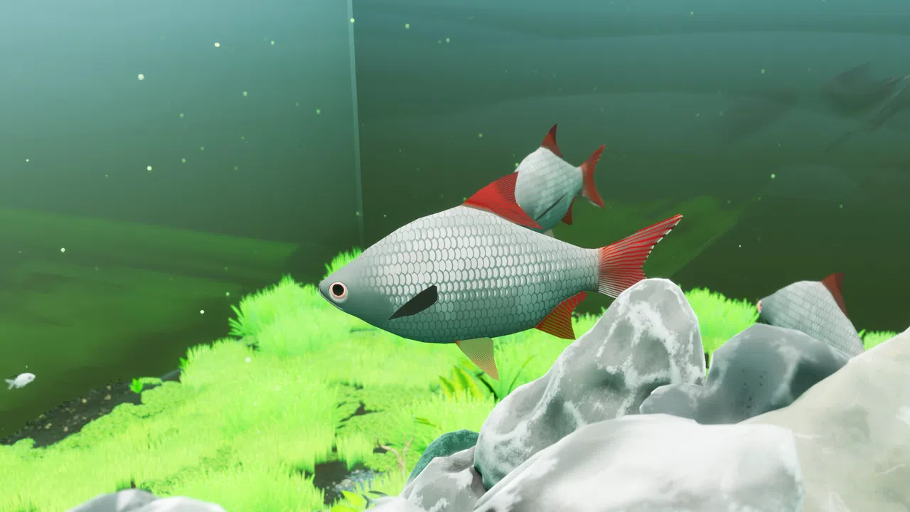 Fish Game - Indonesia Fish Pack 1 Screenshot 2