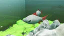 Fish Game - Indonesia Fish Pack 1 Screenshot 2