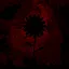 FirstStart icon