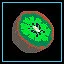 Kiwi icon