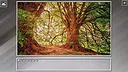 Super Jigsaw Puzzle: Generations - Forests Screenshot 9